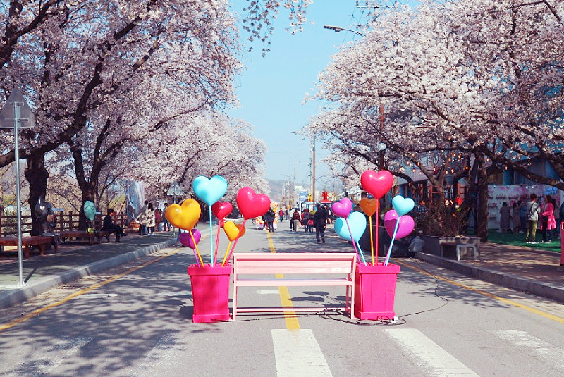 安東桜祭り