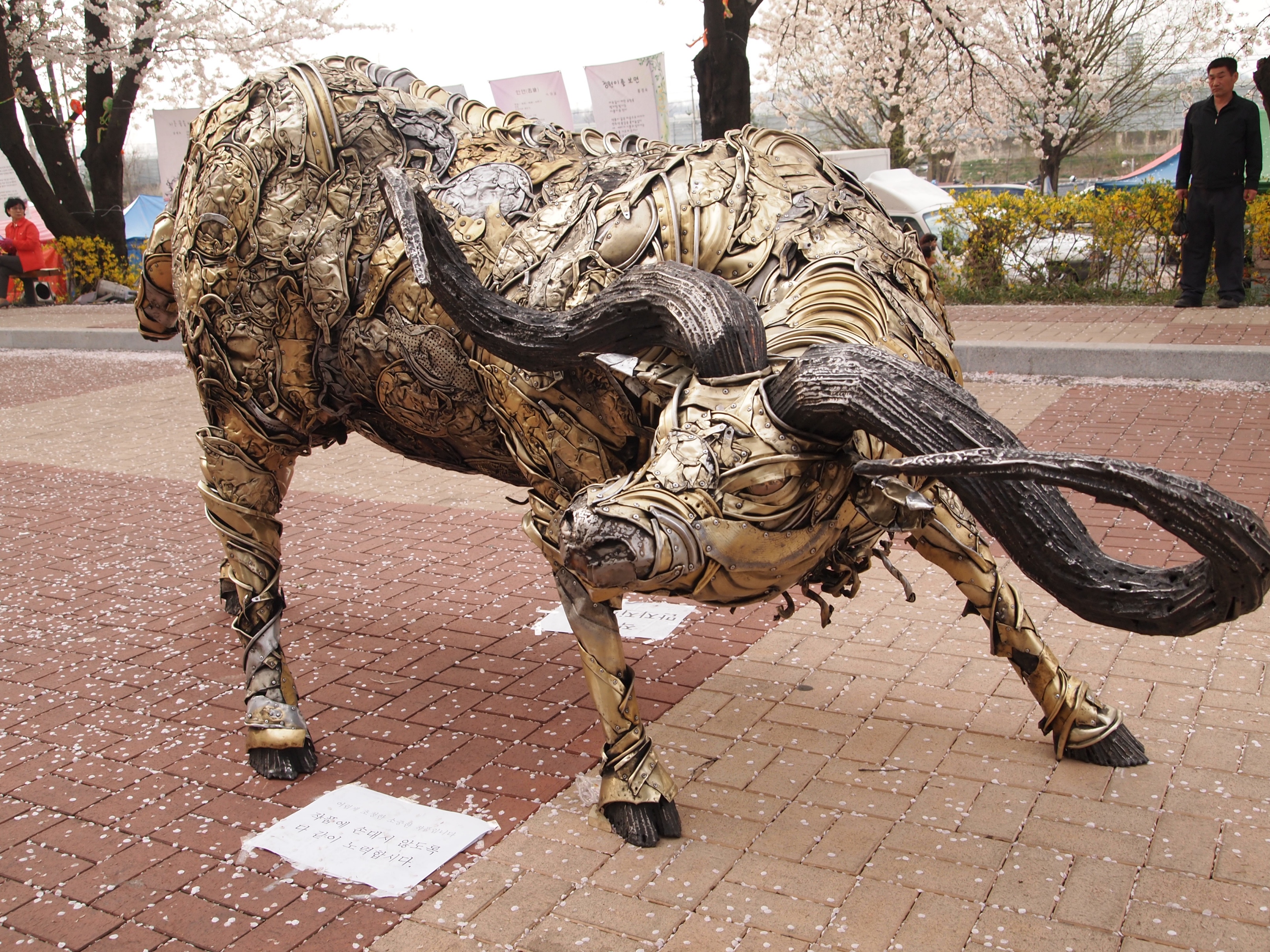 벚꽃, 열흘간의 행복