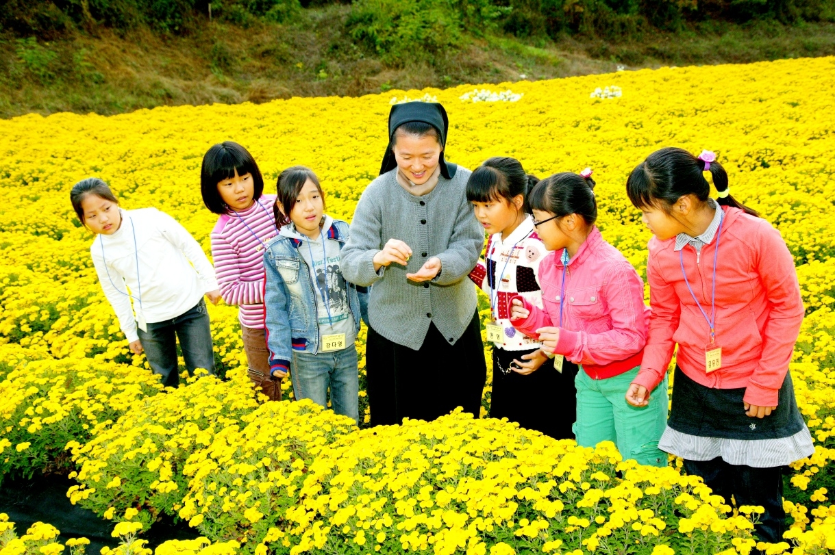 2011 안동서후 봉정사 국화대향연, 2011 안동학가산 산약(마) 건강축제 안내