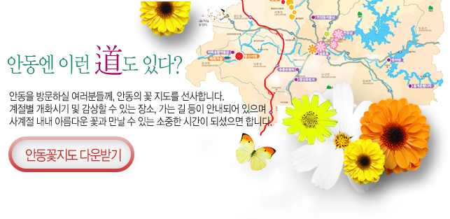 안동엔 이런道도 있다~