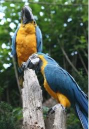 안동문화관광단지 "온뜨레피움" 개장 안내