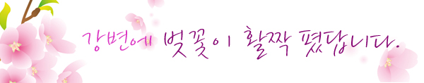 벚꽃이 만발! 강변으로 오세요~