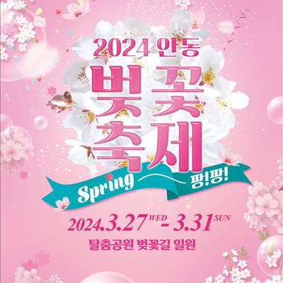 2024 안동벚꽃축제 개최(3/27~3/31) 첫번째 사진